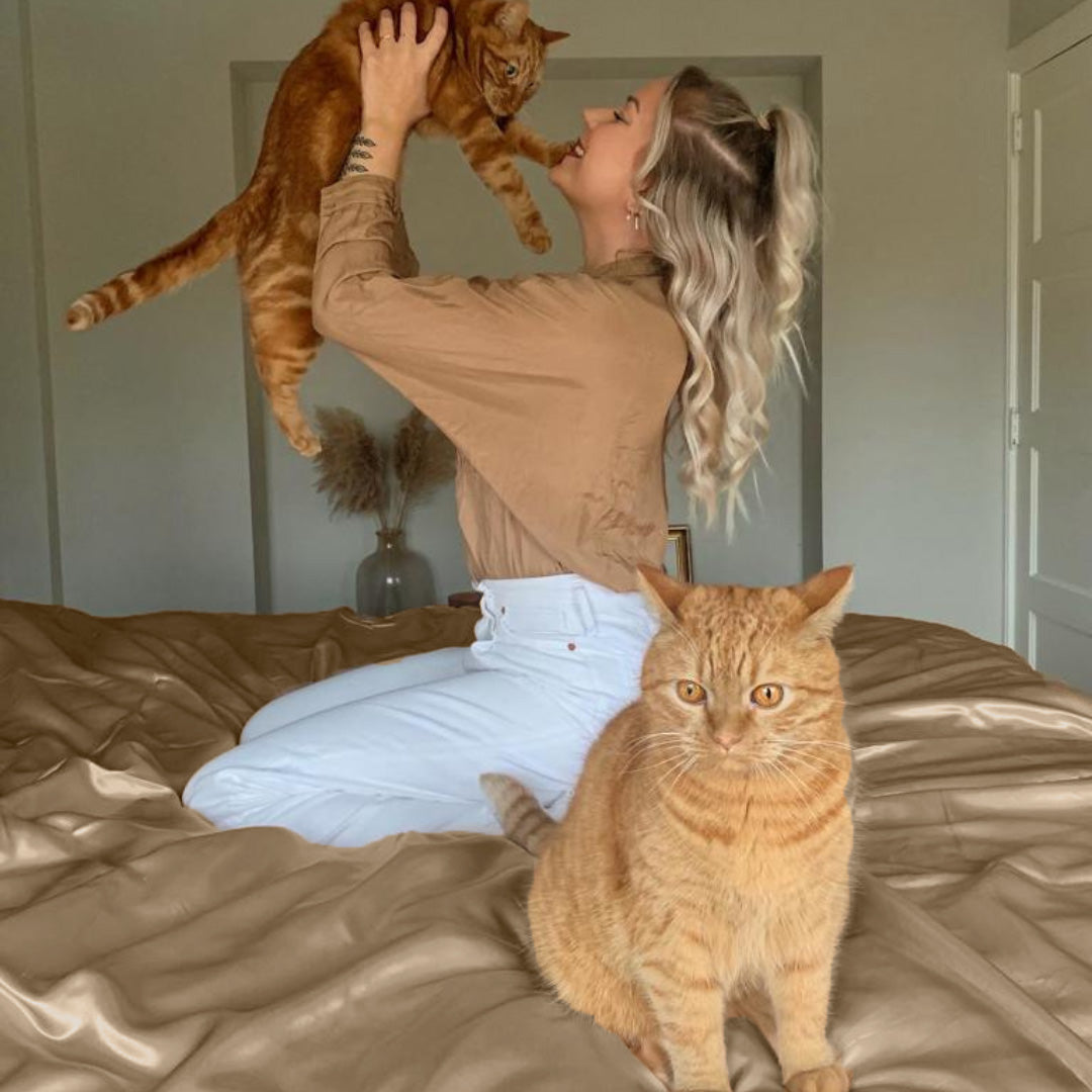 Ensemble de housse de couette uni en satin Taupe tranquille