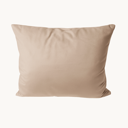 Taies d'oreiller en velours/velours noir 